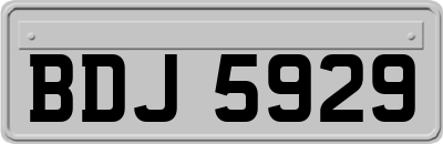 BDJ5929