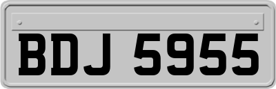 BDJ5955