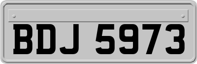 BDJ5973