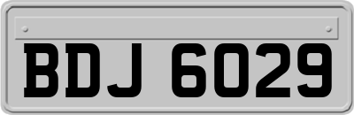 BDJ6029