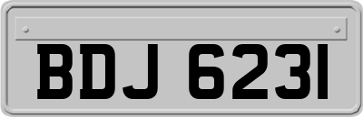 BDJ6231