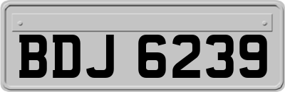 BDJ6239
