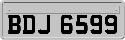 BDJ6599