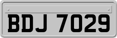 BDJ7029