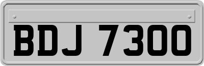 BDJ7300