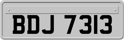 BDJ7313