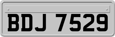 BDJ7529