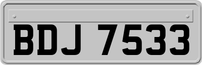 BDJ7533