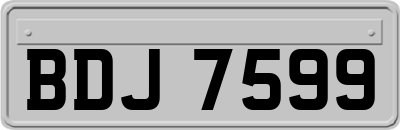 BDJ7599
