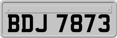 BDJ7873
