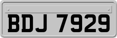 BDJ7929