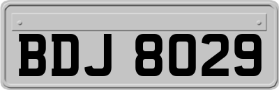 BDJ8029