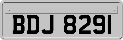 BDJ8291