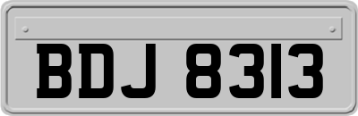 BDJ8313