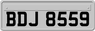 BDJ8559