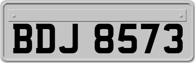 BDJ8573