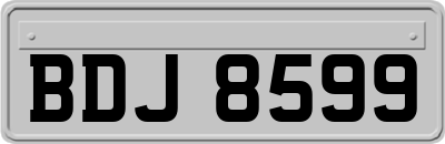BDJ8599