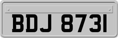 BDJ8731