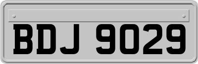 BDJ9029