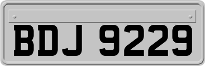 BDJ9229