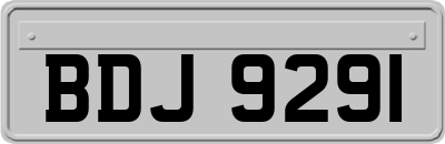 BDJ9291