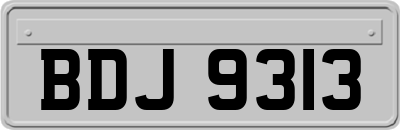 BDJ9313