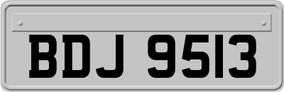 BDJ9513