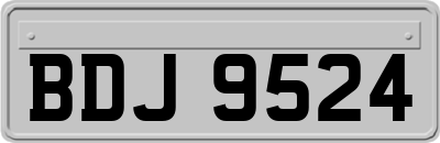 BDJ9524