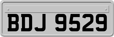 BDJ9529