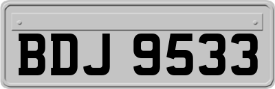 BDJ9533