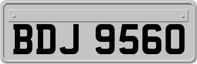 BDJ9560