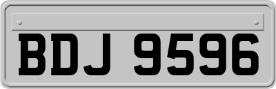 BDJ9596