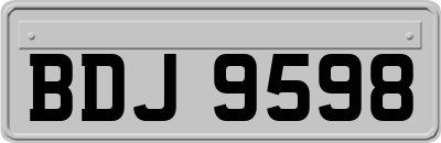 BDJ9598