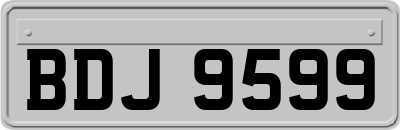 BDJ9599