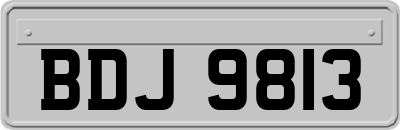 BDJ9813