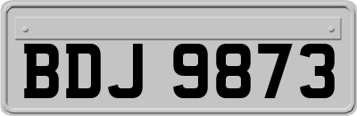 BDJ9873