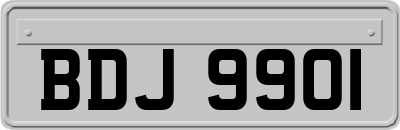 BDJ9901
