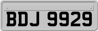 BDJ9929