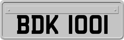 BDK1001