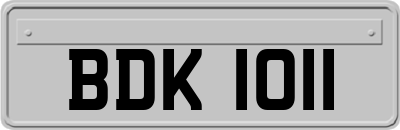 BDK1011