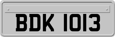 BDK1013