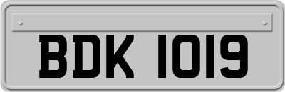 BDK1019