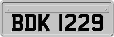 BDK1229