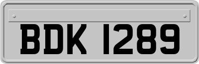 BDK1289