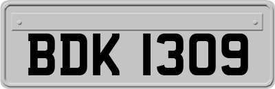 BDK1309