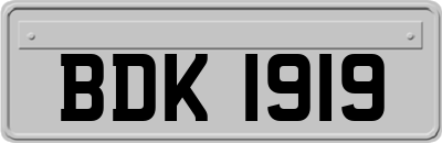 BDK1919