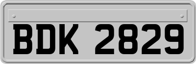 BDK2829