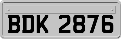 BDK2876