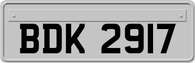BDK2917