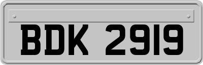 BDK2919